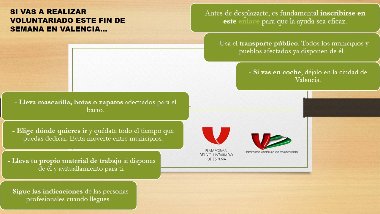 Recomendaciones 8.11.24